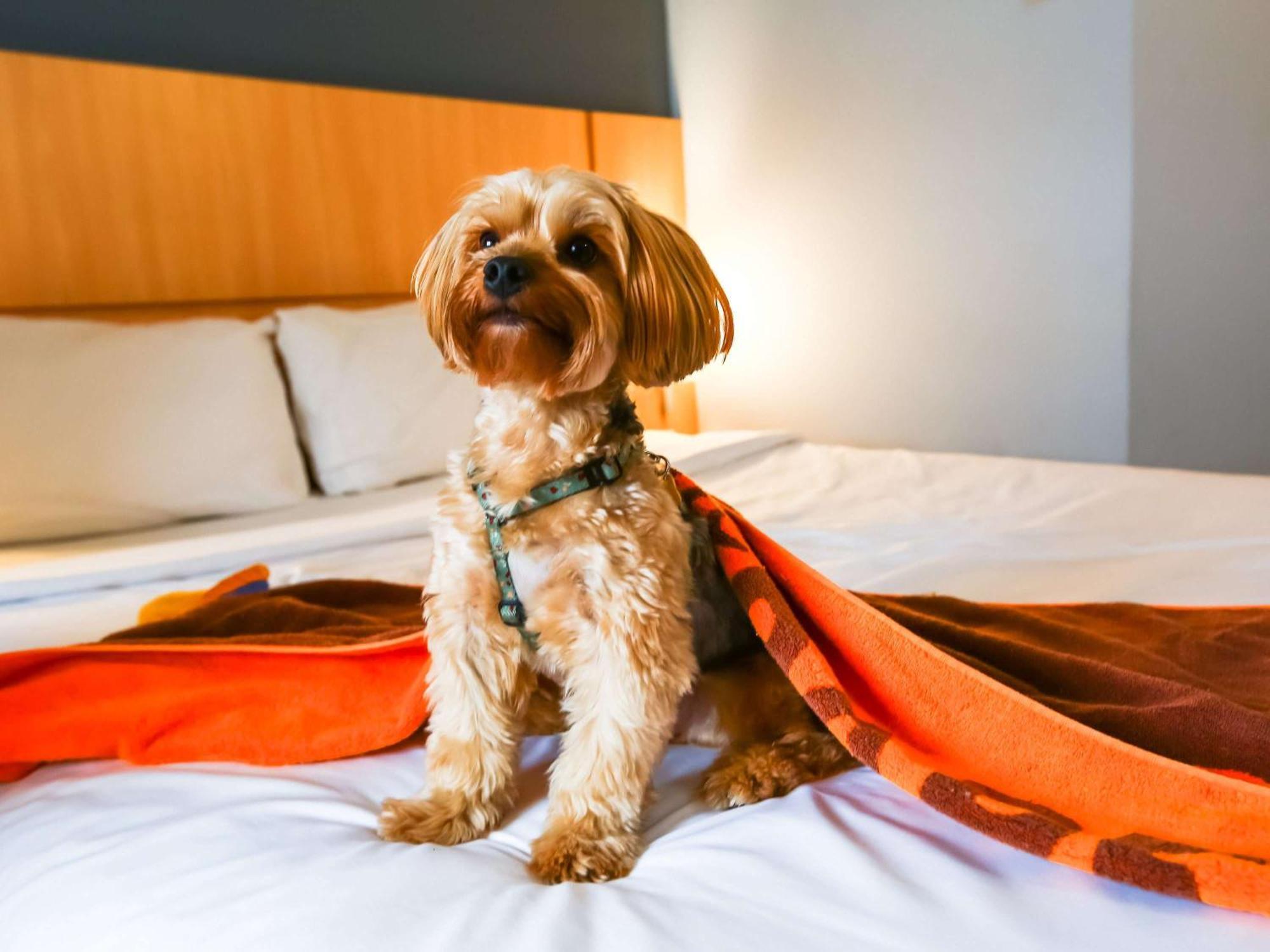 Ibis Rio De Janeiro Nova America Екстер'єр фото